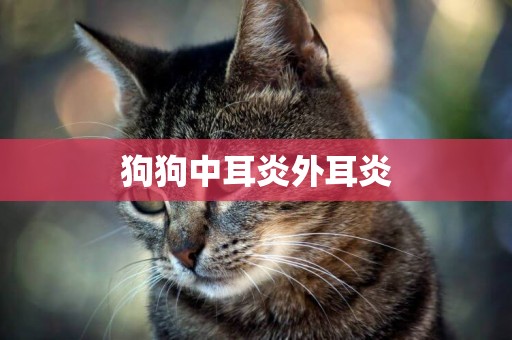 狗狗中耳炎外耳炎
