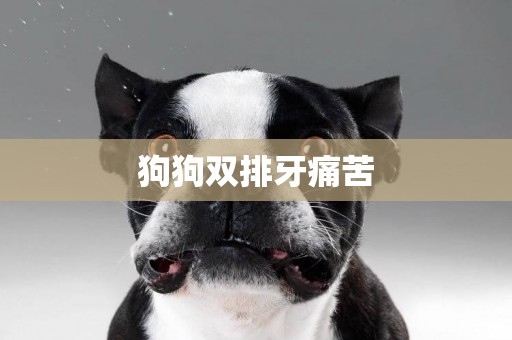 狗狗雙排牙痛苦