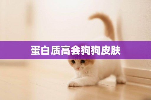 蛋白質高會狗狗皮膚