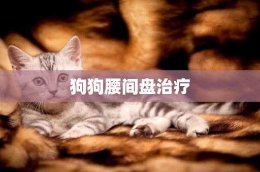 狗狗腰間盤治療