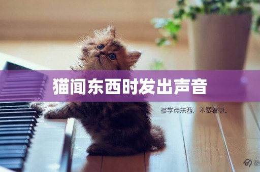 貓聞東西時發出聲音