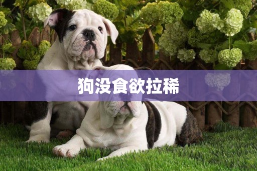 狗沒食欲拉稀