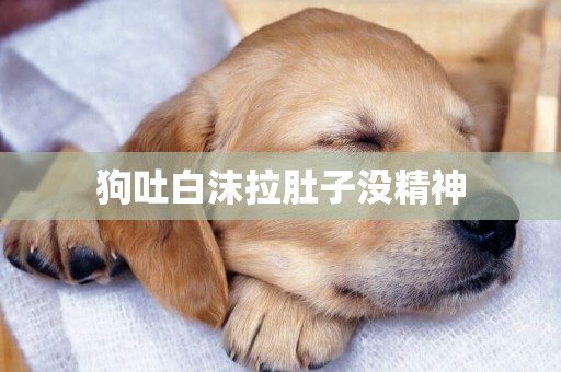 狗吐白沫拉肚子沒精神