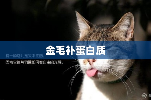 金毛補蛋白質