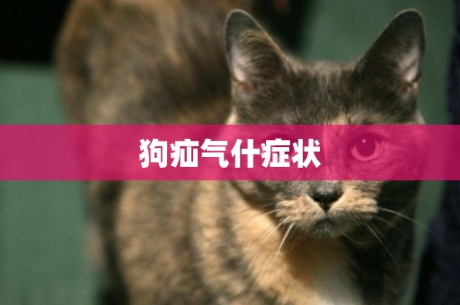 狗疝氣什癥狀