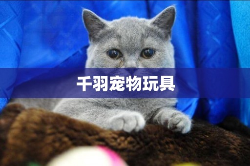 千羽寵物玩具