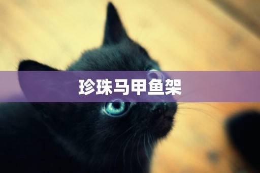 珍珠馬甲魚架