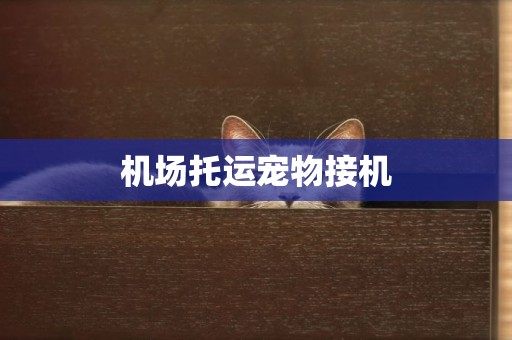 機場托運寵物接機