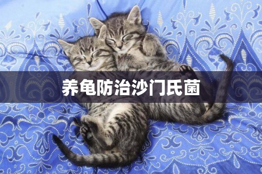 養龜防治沙門氏菌