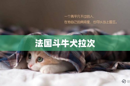法國斗牛犬拉次