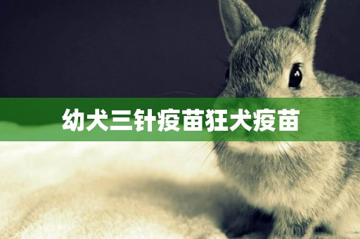 幼犬三針疫苗狂犬疫苗