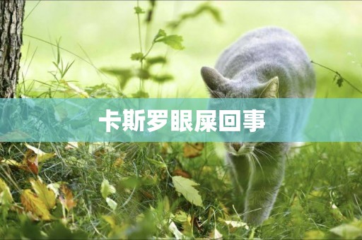 卡斯羅眼屎回事