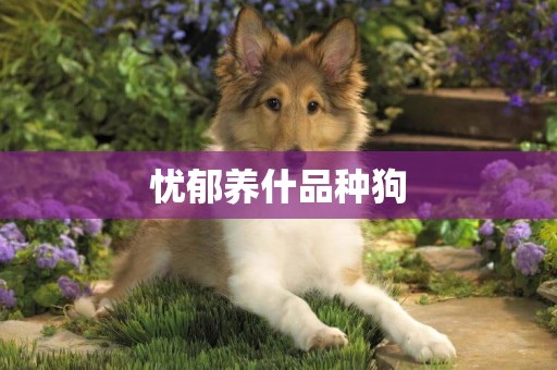 憂郁養什品種狗