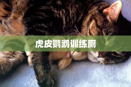 虎皮鸚鵡訓練廁