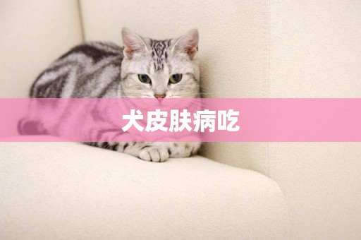 犬皮膚病吃