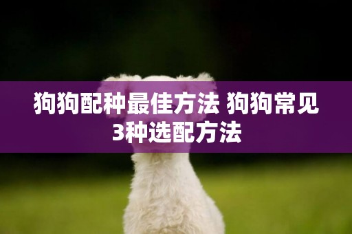 狗狗配種最佳方法 狗狗常見3種選配方法