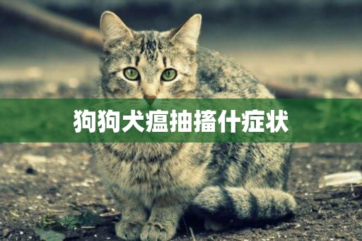 狗狗犬瘟抽搐什癥狀