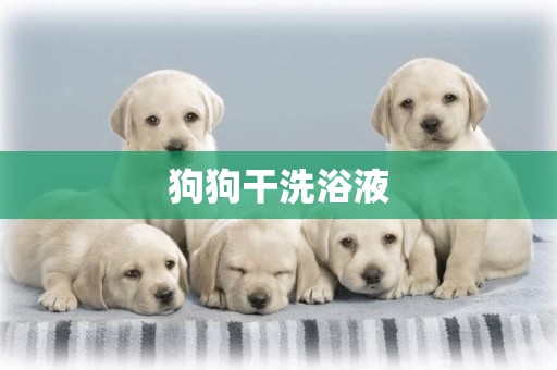 狗狗干洗浴液