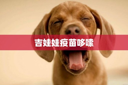 吉娃娃疫苗哆嗦