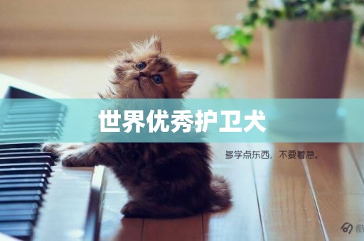 世界優秀護衛犬