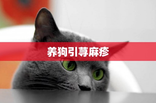 養狗引蕁麻疹