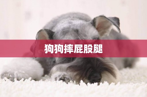 狗狗摔屁股腿