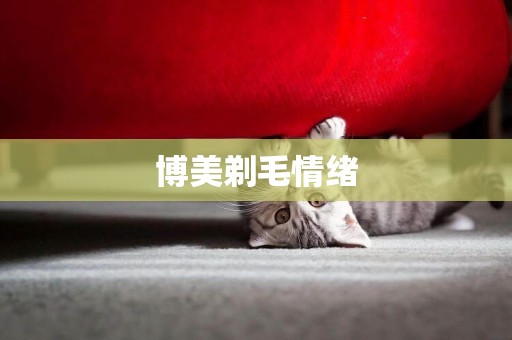 博美剃毛情緒