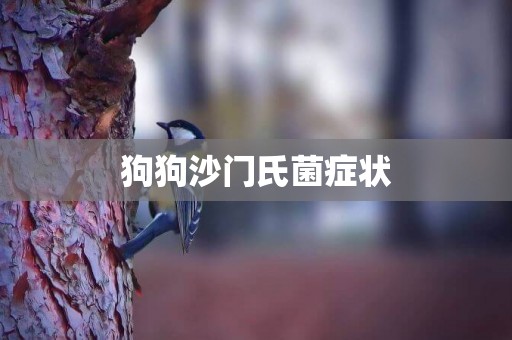狗狗沙門氏菌癥狀