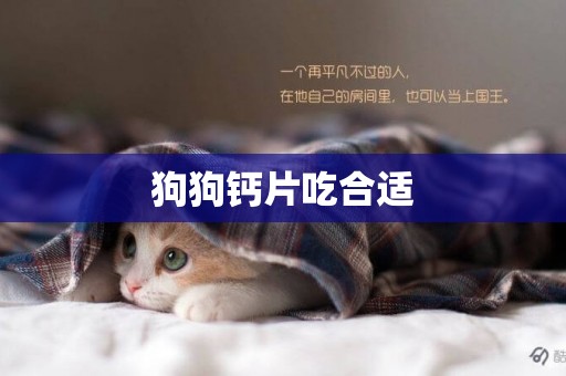 狗狗鈣片吃合適
