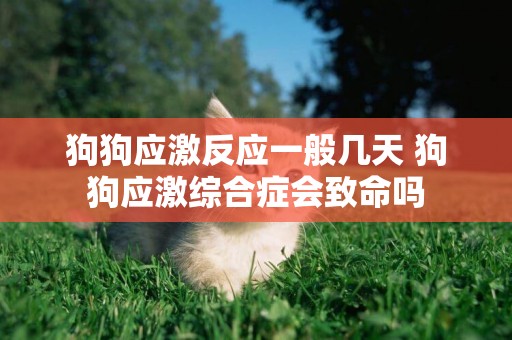 狗狗應激反應一般幾天 狗狗應激綜合癥會致命嗎