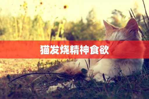 貓發燒精神食欲