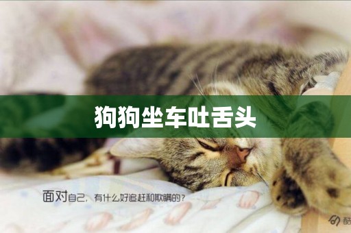 狗狗坐車吐舌頭