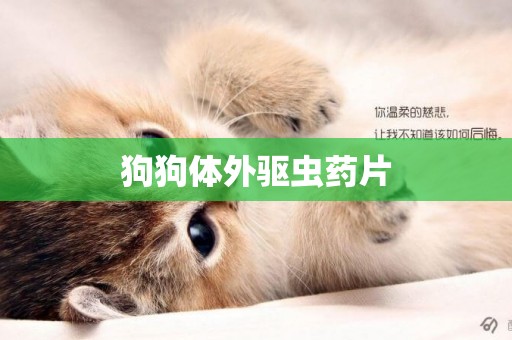 狗狗體外驅蟲藥片