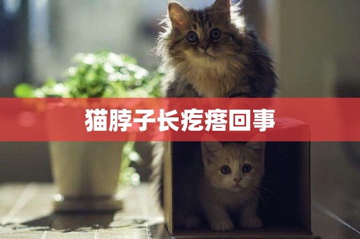貓脖子長疙瘩回事