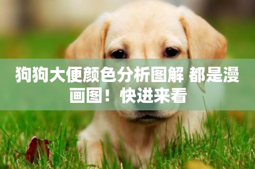 狗狗大便顏色分析圖解 都是漫畫圖！快進來看