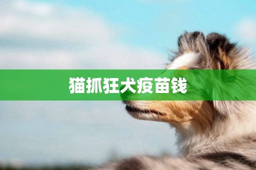 貓抓狂犬疫苗錢