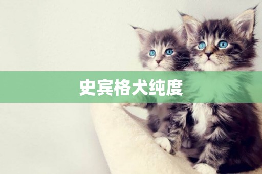 史賓格犬純度
