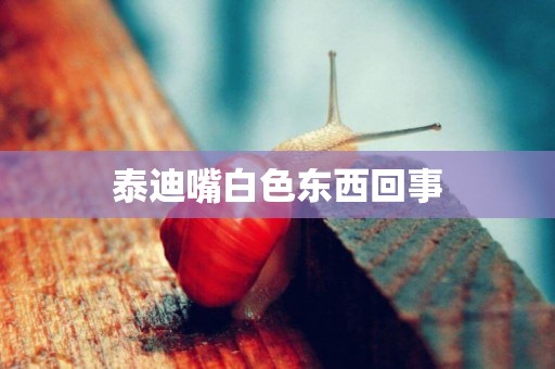 泰迪嘴白色東西回事