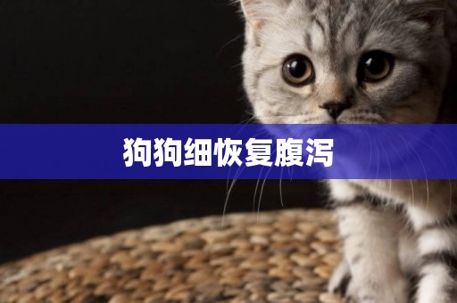 狗狗細恢復腹瀉