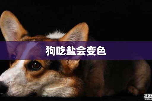 狗吃鹽會變色