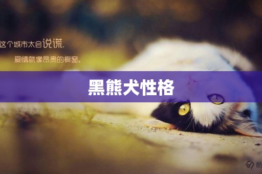 黑熊犬性格