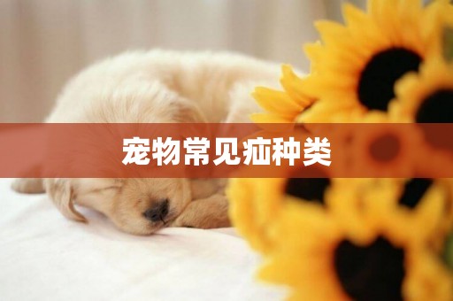 寵物常見疝種類