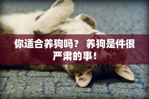 你適合養狗嗎？ 養狗是件很嚴肅的事！