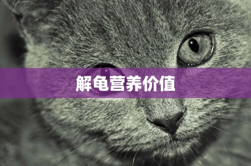 解龜營養價值