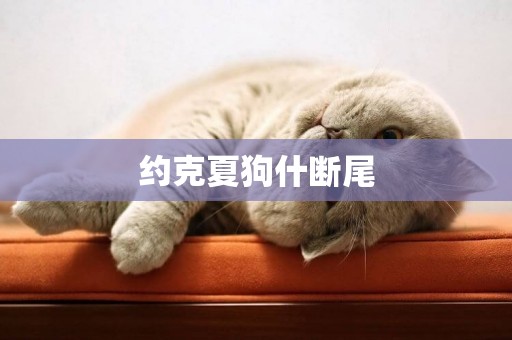 約克夏狗什斷尾