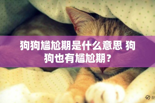 狗狗尷尬期是什么意思 狗狗也有尷尬期？