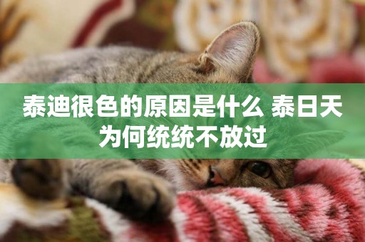 泰迪很色的原因是什么 泰日天為何統統不放過