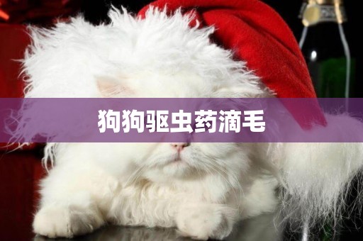狗狗驅蟲藥滴毛