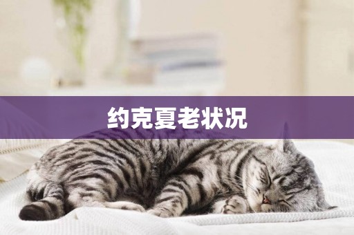 約克夏老狀況