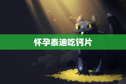 懷孕泰迪吃鈣片